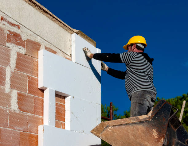 Best Cellulose Insulation in Mexico Beach, FL
