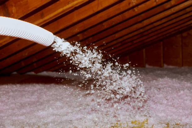 Best Spray Foam Insulation in Mexico Beach, FL