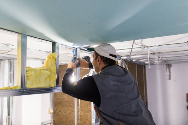 Trusted Mexico Beach, FL Insulation Contractor Experts