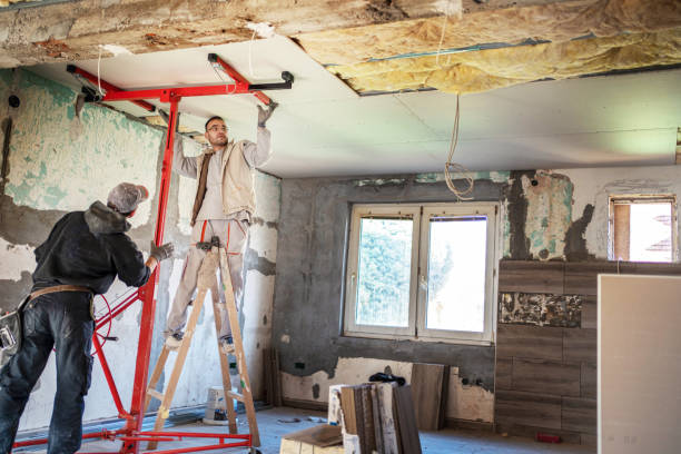 Best Specialized Insulation Services in Mexico Beach, FL