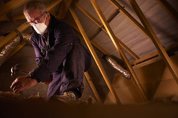 Best Insulation for Specific Applications in Mexico Beach, FL