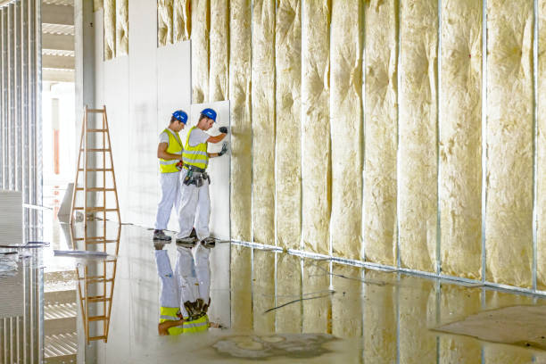 Best Eco-Friendly Insulation in Mexico Beach, FL
